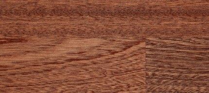 Holzart Sapeli