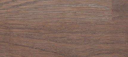 Holzart Salzeiche