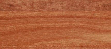 Holzart Kirsche